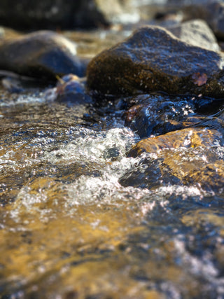 L'importance de l'eau pour nos cheveux et la coloration végétale