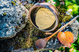 De la poudre de coloration végétale