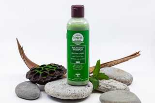 Green rhythm balance shampoo